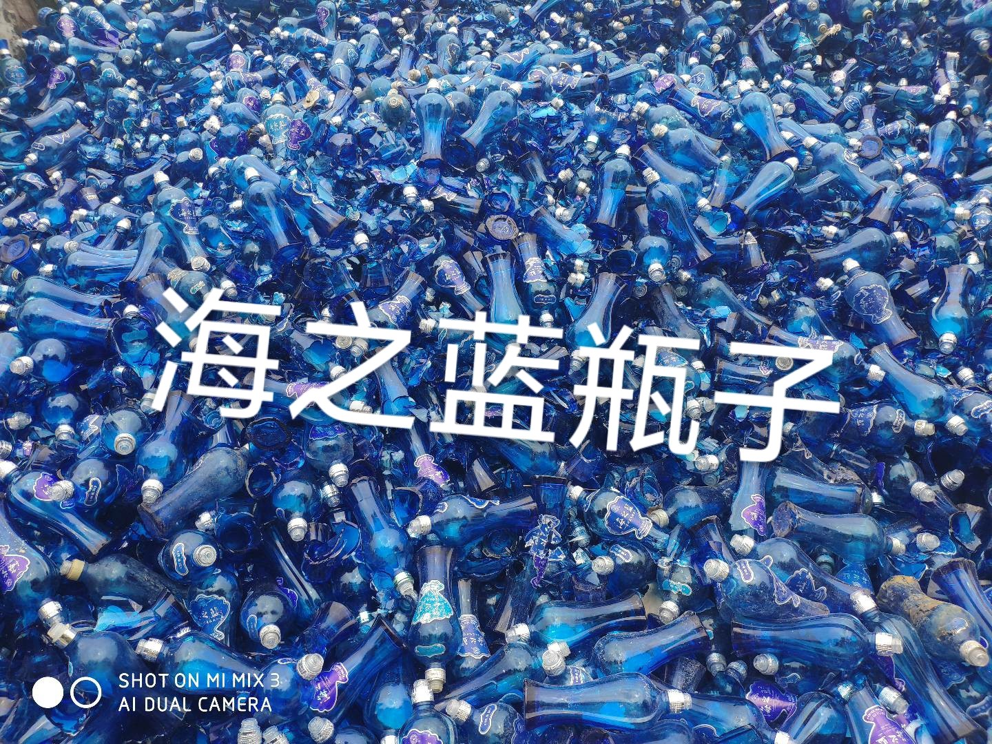 亭湖区海之蓝瓶回收